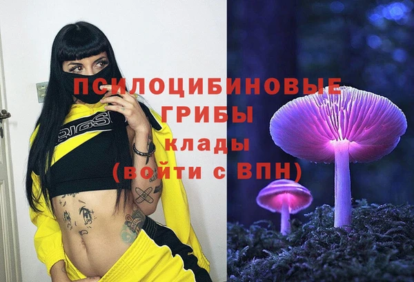 стаф Баксан