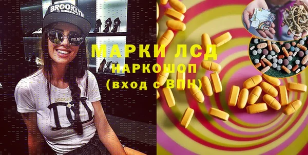 стаф Баксан