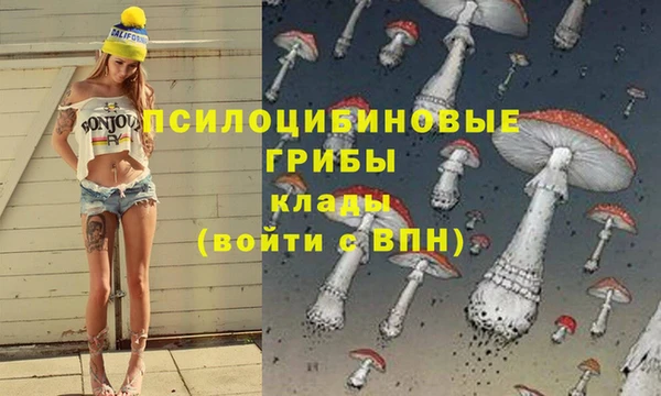 дживик Балабаново