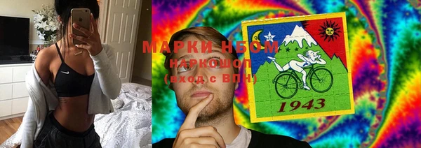 стаф Баксан