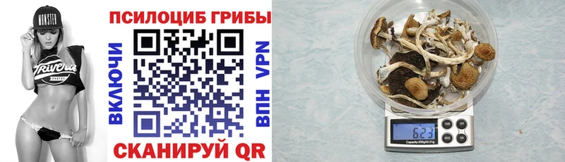 Галлюциногенные грибы Cubensis  Салаир 